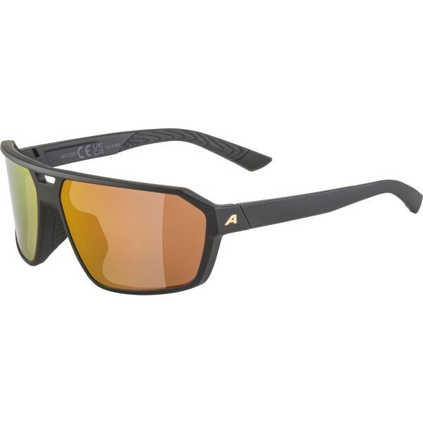 Alpina Sports Alpina Sports SWIFT Слънчеви очила, черно, размер