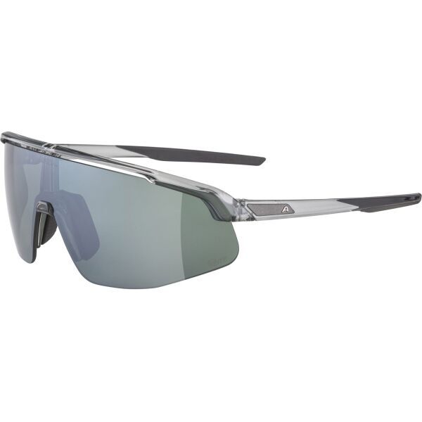 Alpina Sports Alpina Sports TURBO PRO Q-LITE Слънчеви очила, сиво, размер