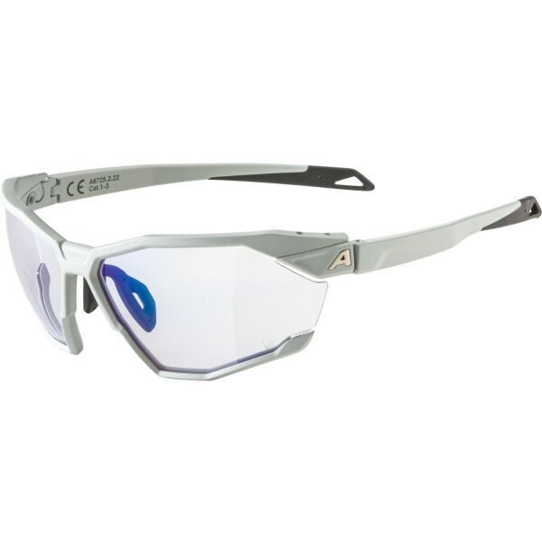 Alpina Sports Alpina Sports TWIST SIX VM Слънчеви очила, сиво, размер