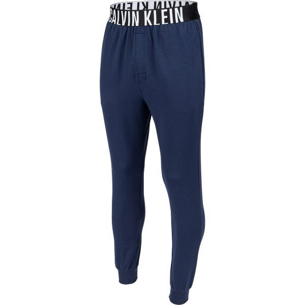 Calvin Klein Calvin Klein JOGGER WIN Мъжко долнище, тъмносин, размер