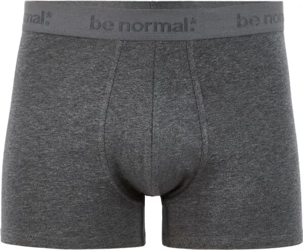 CELIO CELIO BINORMAL Мъжко бельо, тъмносиво, размер