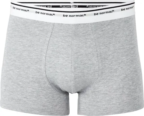 CELIO CELIO BINORMAL1 Мъжко бельо, сиво, размер