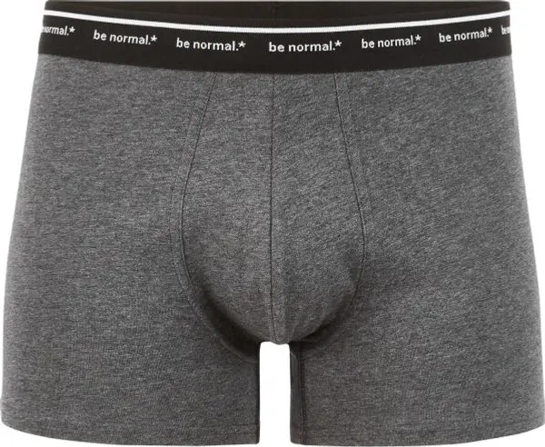 CELIO CELIO BINORMAL1 Мъжко бельо, тъмносиво, размер