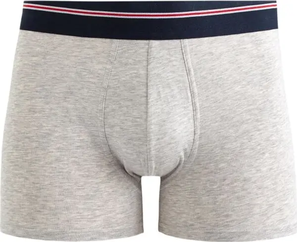 CELIO CELIO МИКЕ Мъжко бельо, сиво, размер