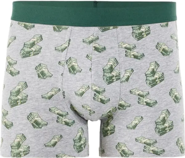 CELIO CELIO XMIBODOLAR Мъжки боксерки в подаръчна опаковка, сиво, размер