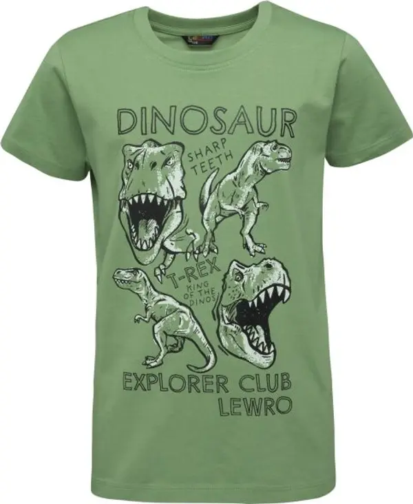 Lewro Lewro CAYDN Тениска за момчета, зелено, размер 128-134