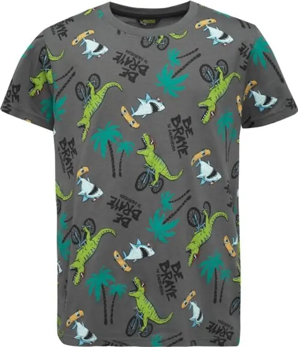 Lewro Lewro SHARK Тениска за момчета, тъмносиво, размер 128-134