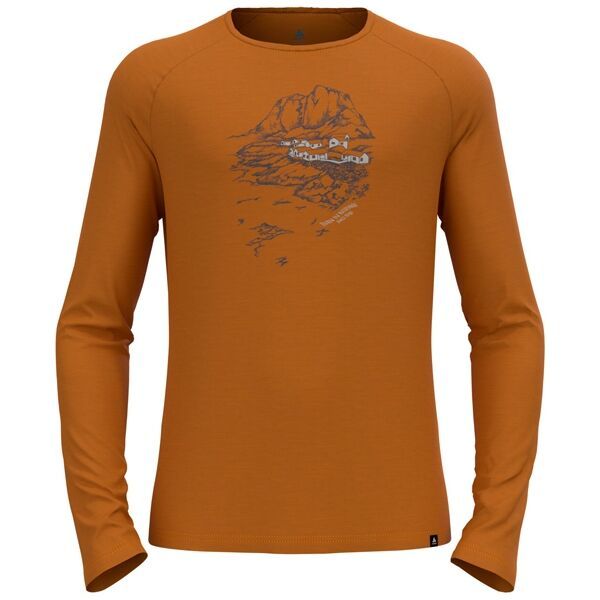 Odlo Odlo ASCENT 365 Функционална мъжка  блуза, кафяво, размер