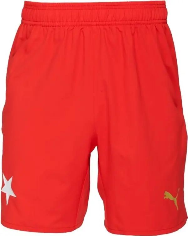 Puma Puma SKS SHORTS PROMO Мъжки футболни шорти, червено, размер