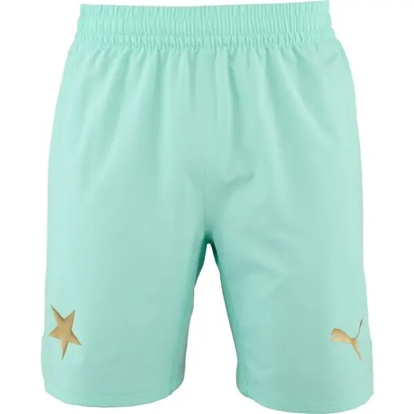 Puma Puma SKS Shorts Promo Мъжки футболни шорти, тюркоазено, размер