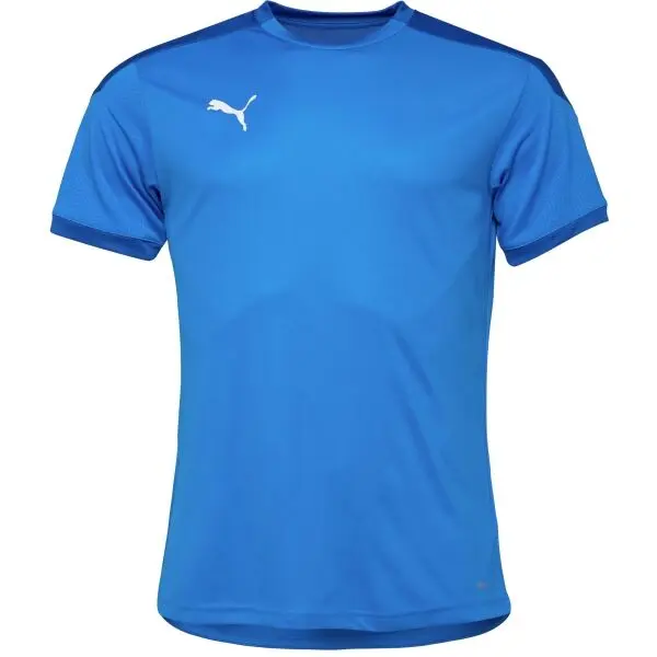 Puma Puma TEAM FINAL 21 TRAINING JERSEY Мъжка тениска, синьо, размер