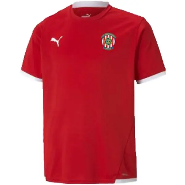 Puma Puma TEAM LIGA JERSEY JR Юношеска тениска за футбол, червено, размер