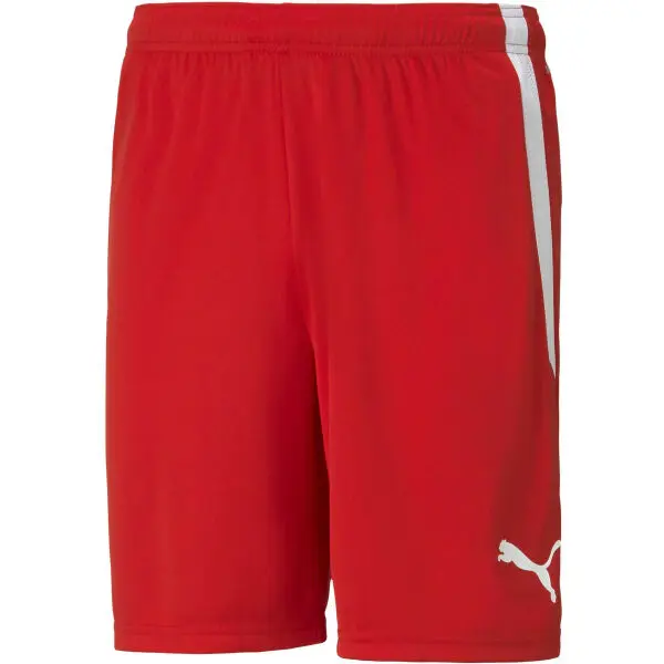 Puma Puma TEAM LIGA SHORTS Мъжки къси шорти, червено, размер
