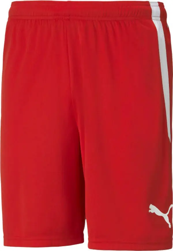 Puma Puma TEAM LIGA SHORTS Мъжки къси шорти, червено, размер