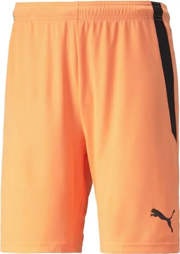 Puma Puma TEAM LIGA SHORTS Мъжки къси шорти, оранжево, размер