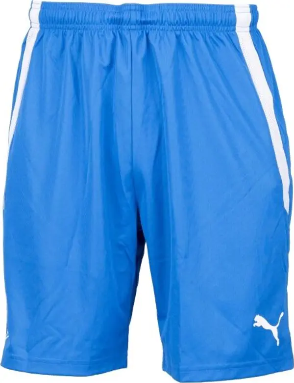Puma Puma TEAM LIGA SHORTS Мъжки къси шорти, синьо, размер