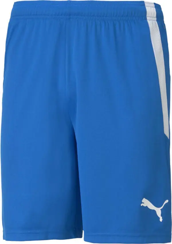 Puma Puma TEAM LIGA SHORTS Мъжки къси шорти, синьо, размер XXXL
