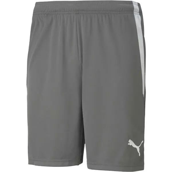 Puma Puma TEAM LIGA SHORTS Мъжки къси шорти, сиво, размер
