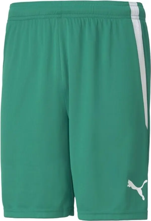 Puma Puma TEAM LIGA SHORTS Мъжки къси шорти, зелено, размер