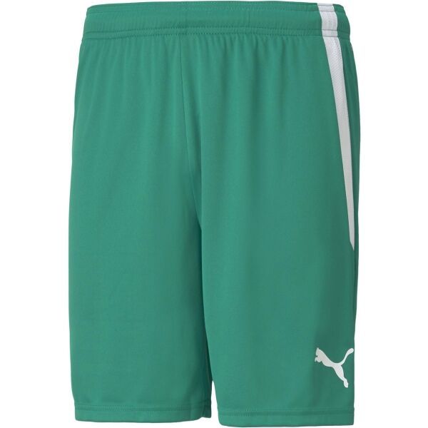 Puma Puma TEAM LIGA SHORTS Мъжки къси шорти, зелено, размер