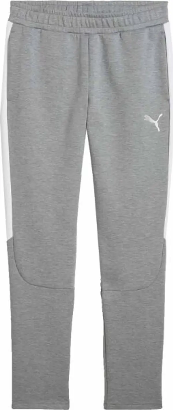 Puma Puma TEAMEVOSTRIPE PANTS Мъжко долнище, сиво, размер