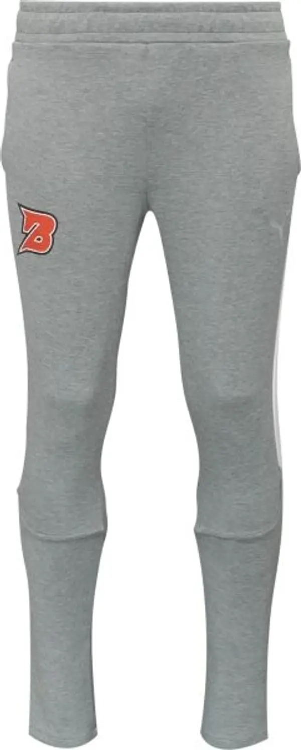 Puma Puma TEAMEVOSTRIPE PANTS Мъжко долнище, сиво, размер