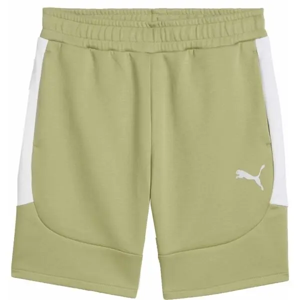 Puma Puma TEAMEVOSTRIPE SHORTS Мъжки шорти, khaki, размер