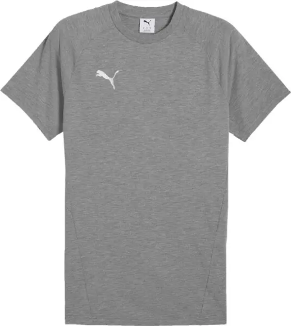 Puma Puma TEAMEVOSTRIPE TEE Мъжка тениска, сиво, размер