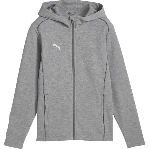 Puma Puma TEAMFINAL CASUALS HOODED JACKET Мъжко спортно горнище, сиво, размер