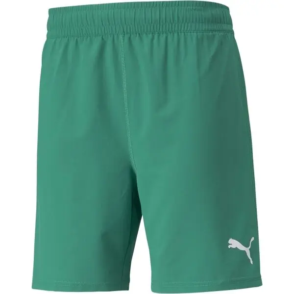 Puma Puma TEAMFINAL SHORTS Мъжки футболни шорти, зелено, размер