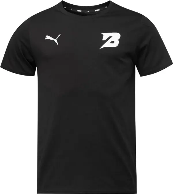 Puma Puma TEAMGOAL 23 CASUALS TEE Мъжка тениска, черно, размер