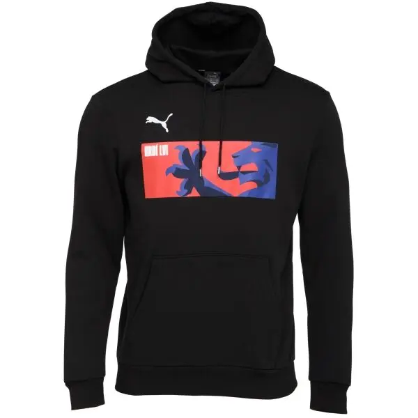 Puma Puma TEAMGOAL 23 CAUSALS HOODY Мъжки футболен суитшърт, черно, размер