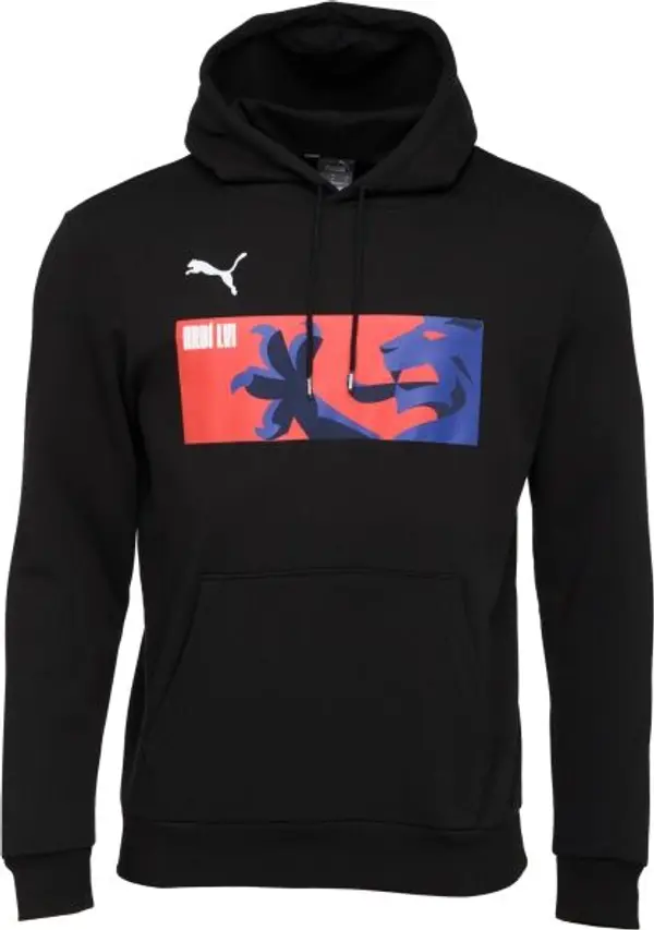 Puma Puma TEAMGOAL 23 CAUSALS HOODY Мъжки футболен суитшърт, черно, размер