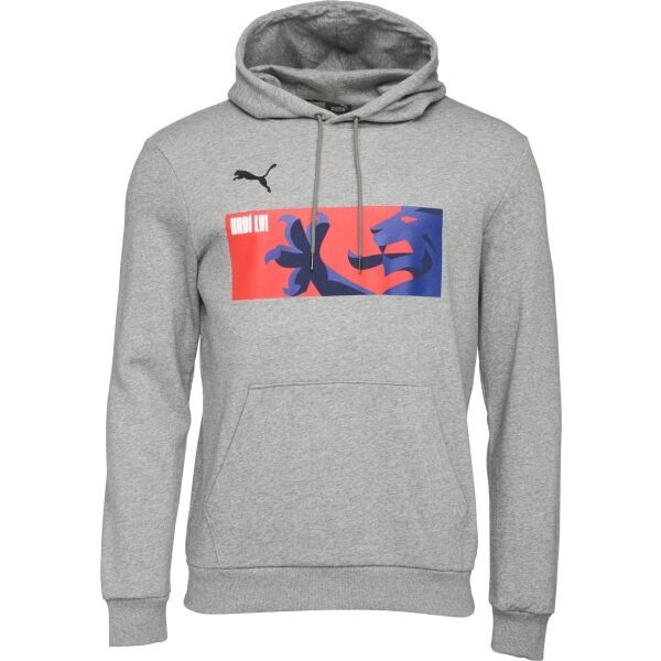 Puma Puma TEAMGOAL 23 CAUSALS HOODY Мъжки футболен суитшърт, сиво, размер