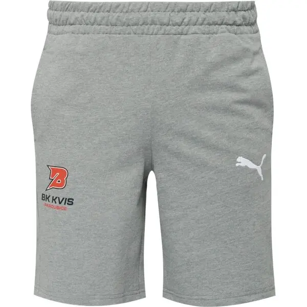 Puma Puma TEAMGOAL CASUALS SHORTS Мъжки къси панталонки, сиво, размер