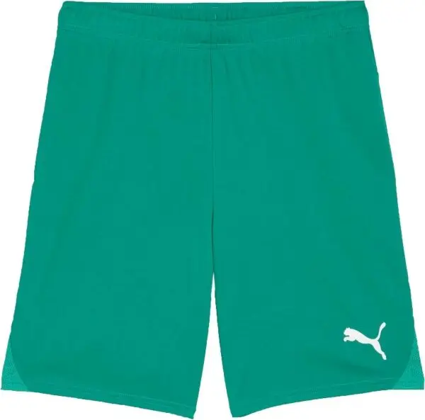 Puma Puma TEAMGOAL SHORTS Дамски футболни шорти, зелено, размер
