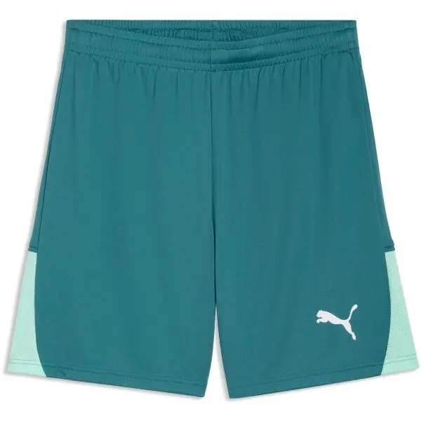Puma Puma TEAMLIGA 26 SHORTS Мъжки спортни шорти, зелено, размер