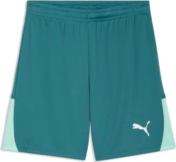 Puma Puma TEAMLIGA 26 SHORTS Мъжки спортни шорти, зелено, размер