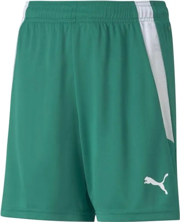 Puma Puma TEAMLIGA SHORTS JR Спортни шорти за момчета, зелено, размер