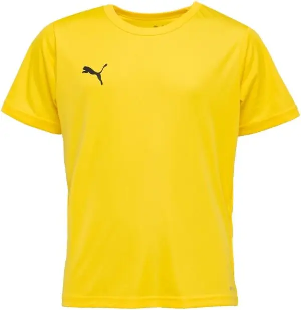Puma Puma TEAMRISE Футболна тениска за момчета, жълто, размер