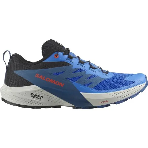 Salomon Salomon SENSE RIDE 5 Мъжки обувки за бягане по трасета, синьо, размер 42 2/3
