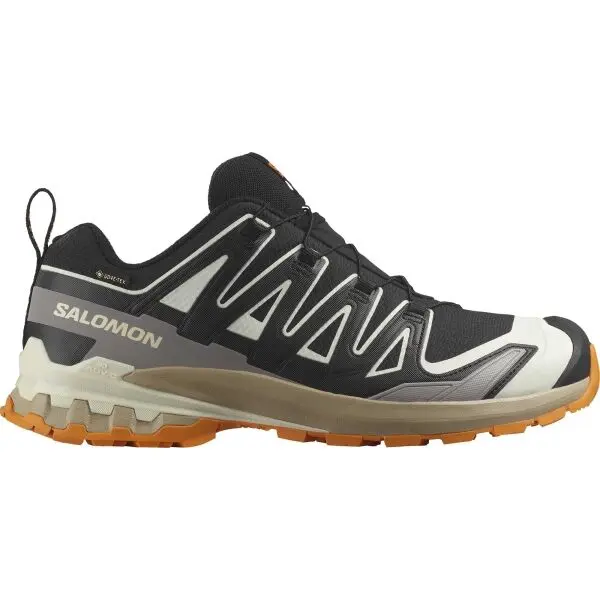 Salomon Salomon XA PRO 3D V9 GTX Мъжки обувки за бягане по трасета, черно, размер 46