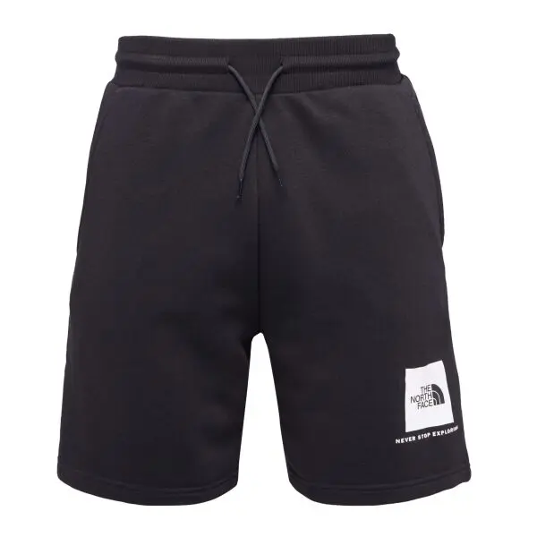 The North Face The North Face M BOX NSE LIGHT REGULAR SHORTS Мъжки шорти, черно, размер