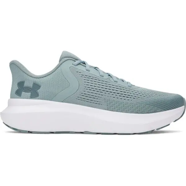 Under Armour Under Armour CHARGED ROGUE 5 Мъжки обувки за бягане, зелено, размер 44.5