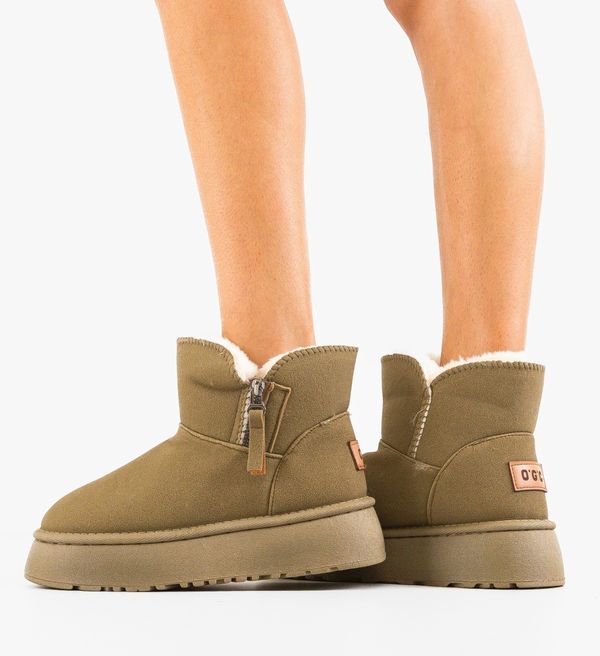 Zoha Боти Ogece Каки