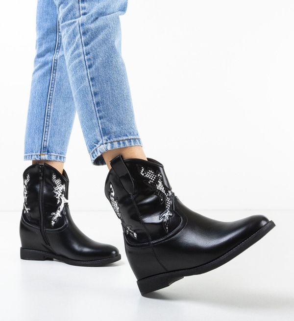 Ali Ботини Hodge Черни