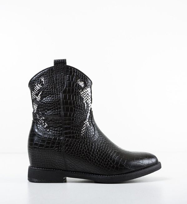 Ali Ботини Hodge Черни