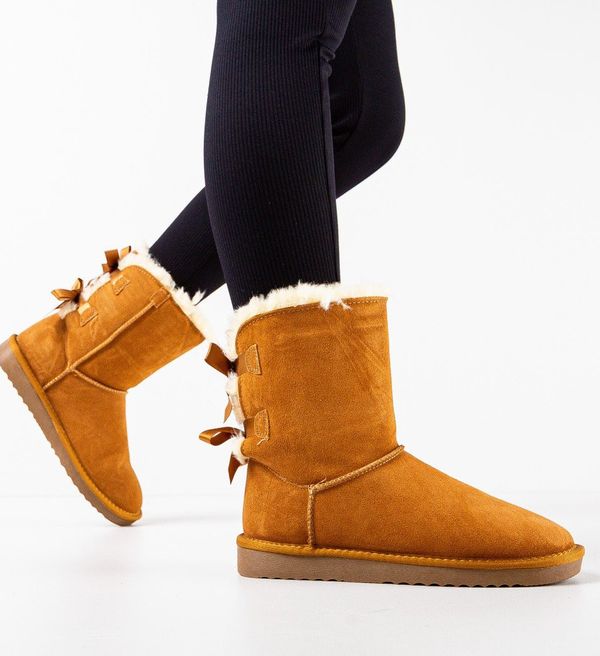 Tony Ботуши Antarctica Камел