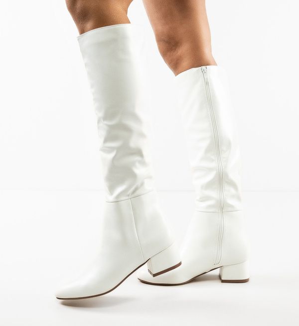 Ali Ботуши Dam Бели