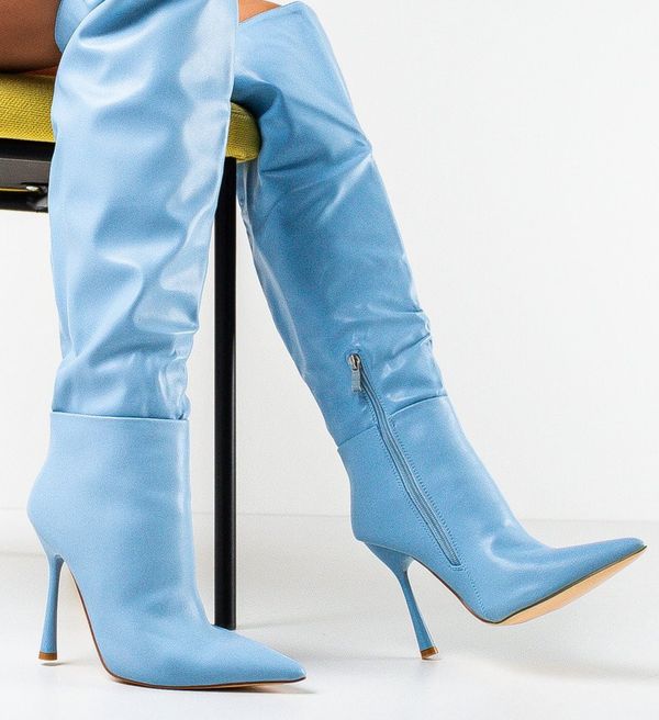 Ali Ботуши Hogan Сини